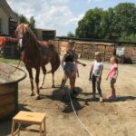 Spaß beim Pferde waschen
